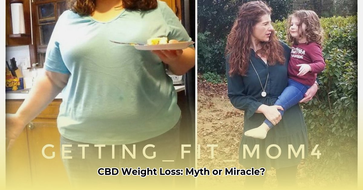 cbd-weight-loss-success-stories